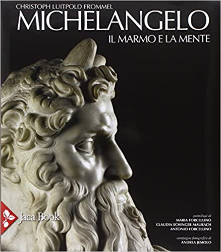 Cover of MICHELANGELO. MARBLE AND MIND