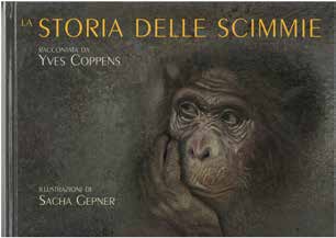 Cover of THE HISTORY OF THE MONKEYS